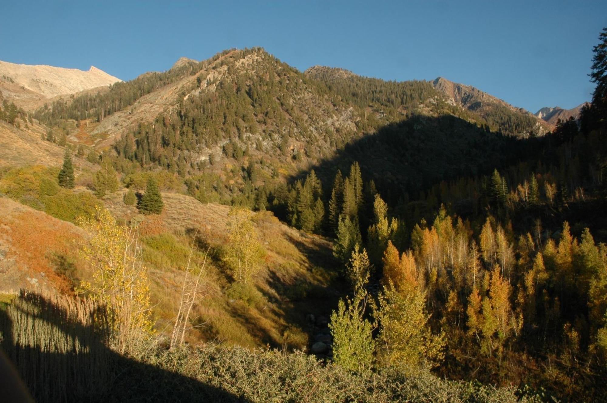 Silver City Mountain Resort Three Rivers Εξωτερικό φωτογραφία
