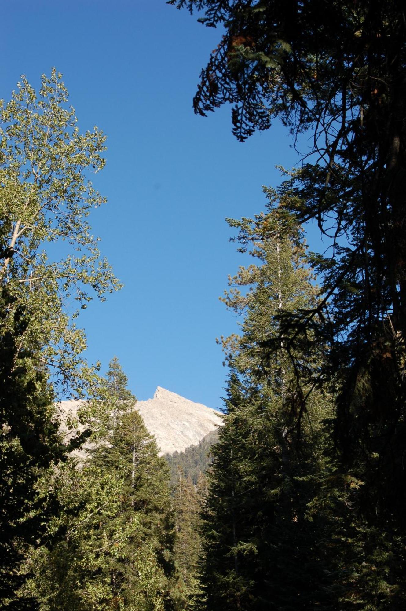 Silver City Mountain Resort Three Rivers Εξωτερικό φωτογραφία
